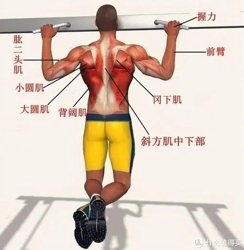 <strong>leyucom乐鱼官网官方网站：铝合金分体式网球拍</strong>